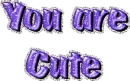 42531