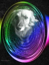 My puppy :)