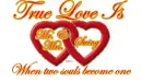 true love is swing
