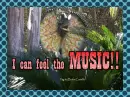 Jurassic Park- Funny