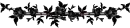 Black Roses