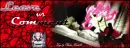Shiki - Leave your comment