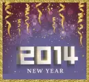 2014 New Year