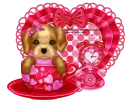 valentine puppy/I wuv you