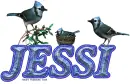 Jessi Blue Jays