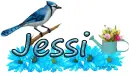 Jessi Spring Blue Jay