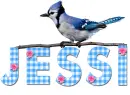 Jessi Blue Jay Ginham
