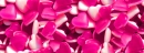 Gummy Hearts seamless background