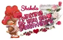 Thinking Of You ~ Shakela
