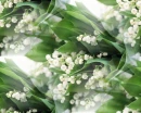 white Muguet flowers seamless background