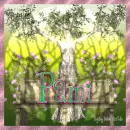 Motherearth - Pami