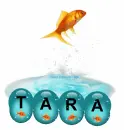 Tara Goldfish Escape