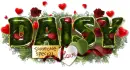Daisy-Someone Special