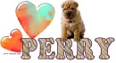 Perry Shar-Pei