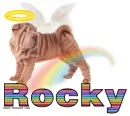 Rocky Shar Pei