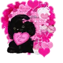 My Valentine/doggie