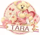 Tara Valentine Bear or Dog?