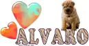 Alvaro Shar Pei
