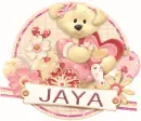 Jaya Valentine Bear or Dog?