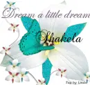SHAKELA