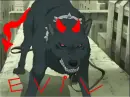 blue is evil!!