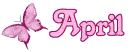 *~April Butterfly~*