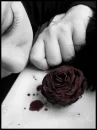 blody rose