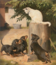 dachshunds