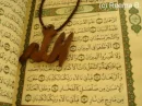 islam