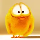 sweety chick
