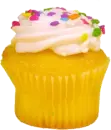 Rainbow Cupcake