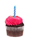 Happy Birthday Cupcakes
