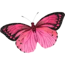 Black Pink Glitter Butterfly