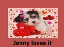 jenny loves it