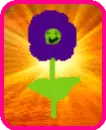 cute flower 
