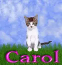 Carol