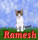 Ramesh
