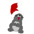 Singing Cat2