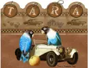 Tara Classic Car Birds