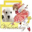 Sakura Card Captor - Wednesday