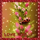 Love Bug