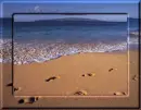 FOOTPRINT OCEAN BACKGROUND