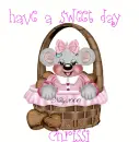 chrissi