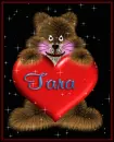 Tara