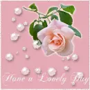 Have a lovely day