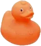 Rainbow Rubber Ducky