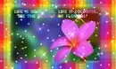 Beautiful colorful life