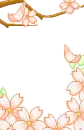 Falling cherrie blossoms