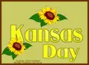 Kansas Day - Sunflowers