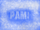 Pami